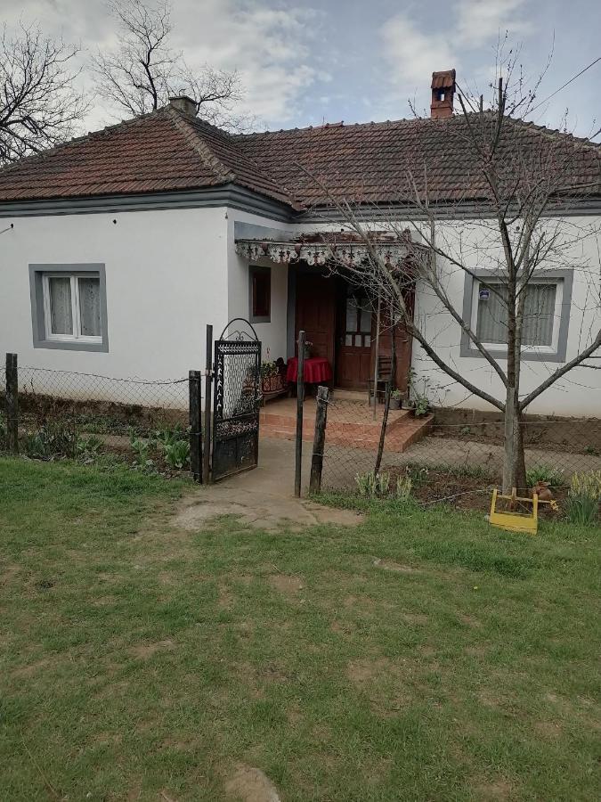 Etno Kuca Badejevic Villa Plavna Exteriör bild
