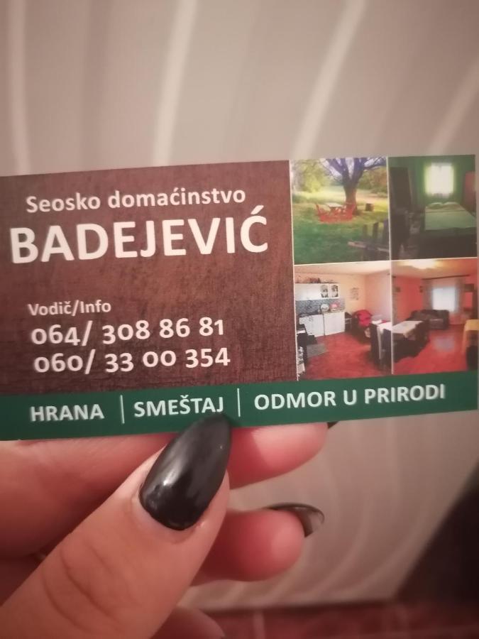 Etno Kuca Badejevic Villa Plavna Exteriör bild