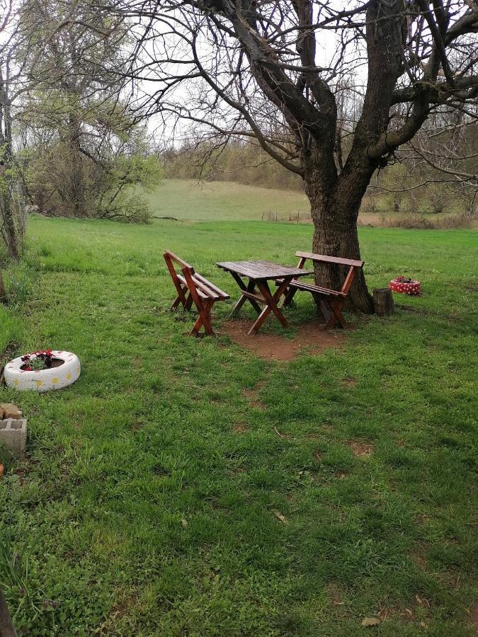 Etno Kuca Badejevic Villa Plavna Exteriör bild