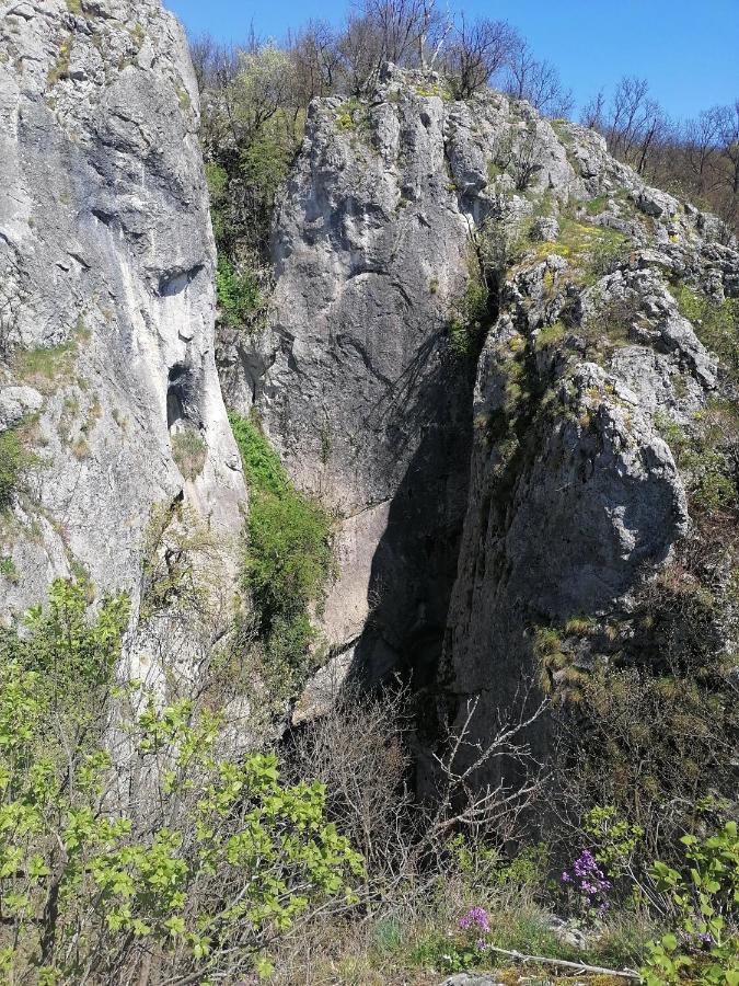 Etno Kuca Badejevic Villa Plavna Exteriör bild