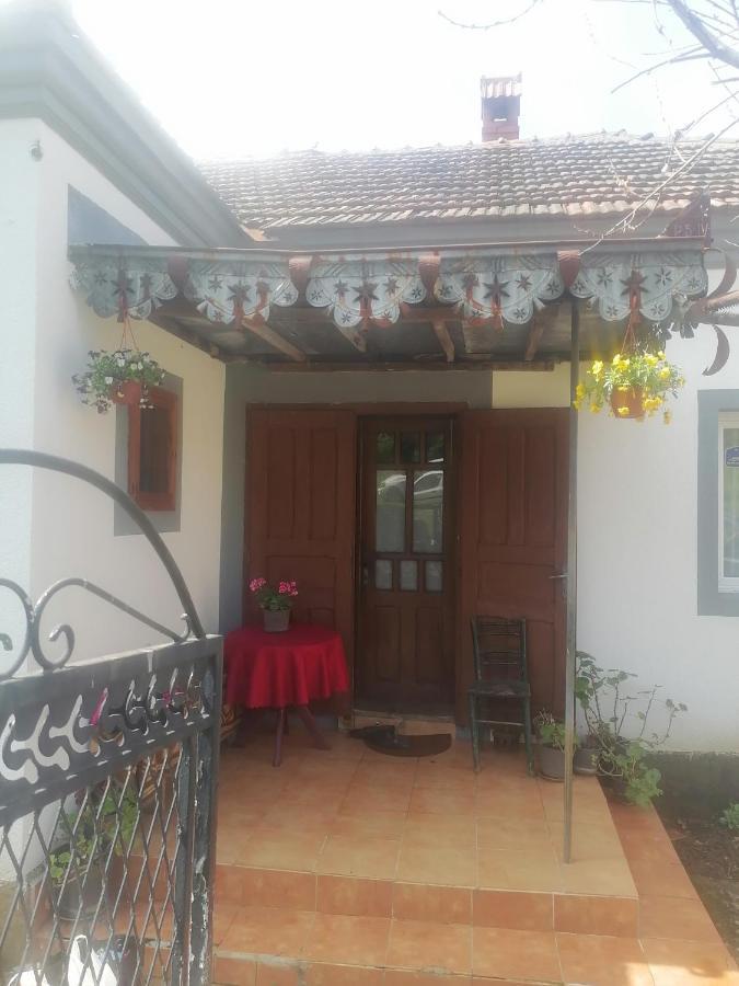 Etno Kuca Badejevic Villa Plavna Exteriör bild