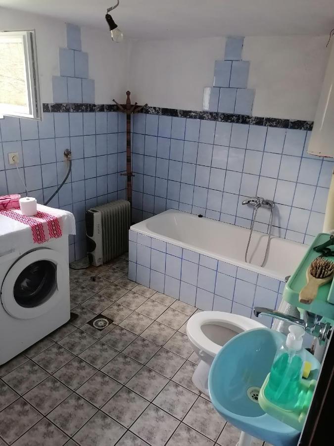 Etno Kuca Badejevic Villa Plavna Exteriör bild