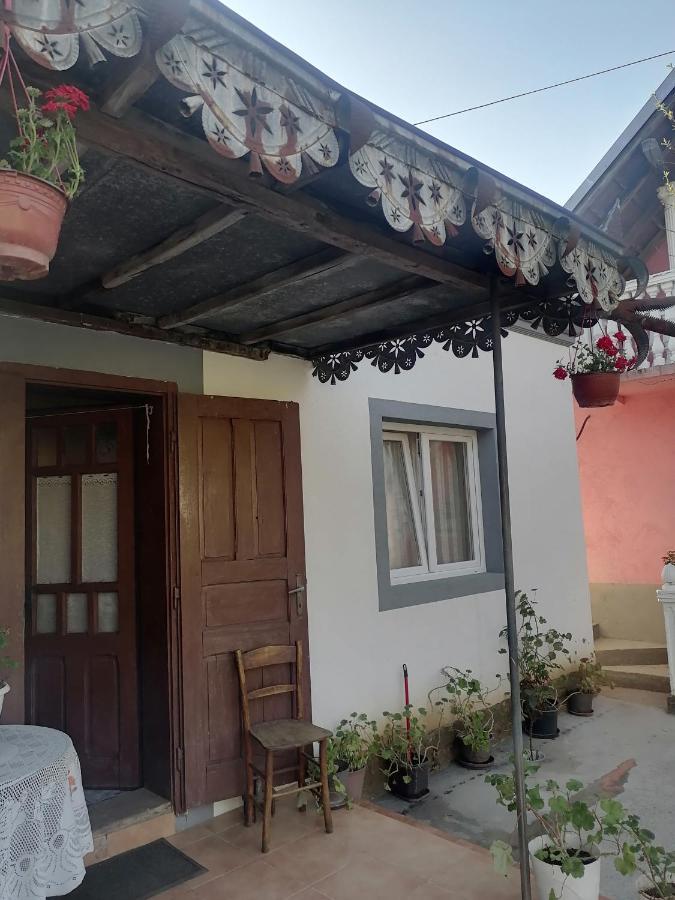Etno Kuca Badejevic Villa Plavna Exteriör bild